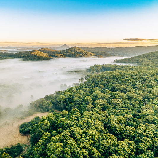 Yandina-Sunrise-Photo