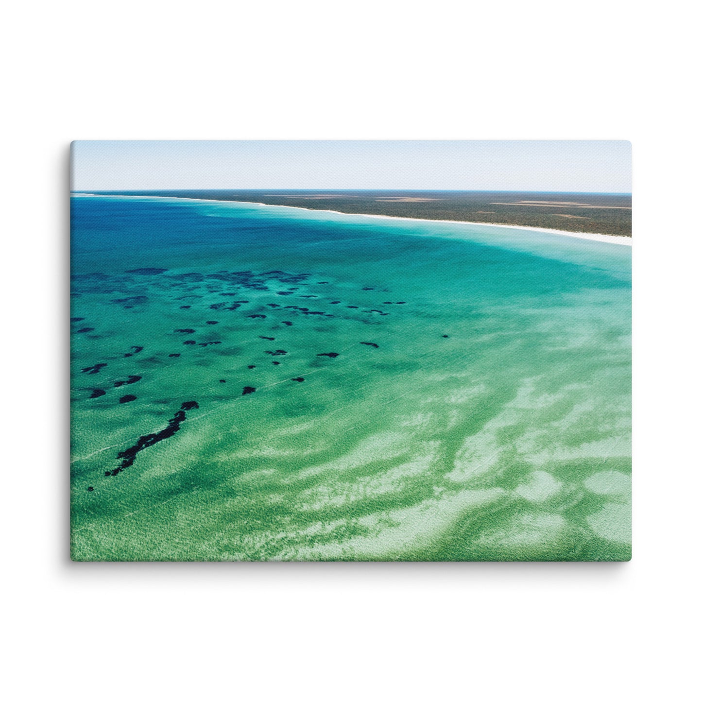 Shark Bay - 1166