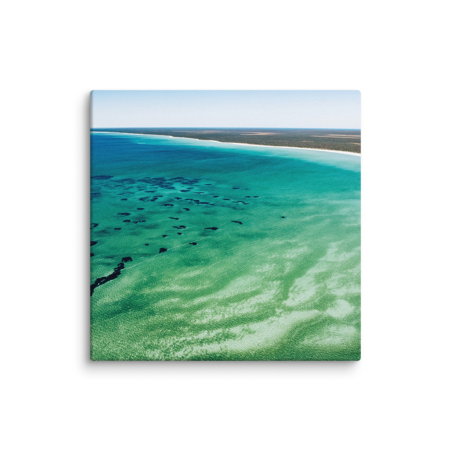 Shark Bay - 1166