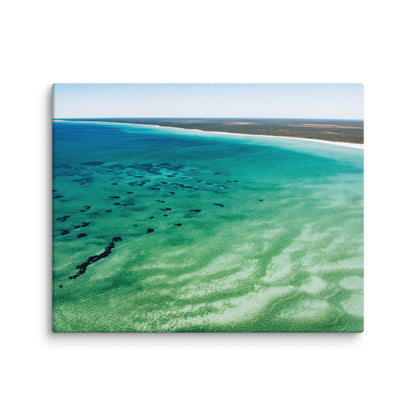 Shark Bay - 1166