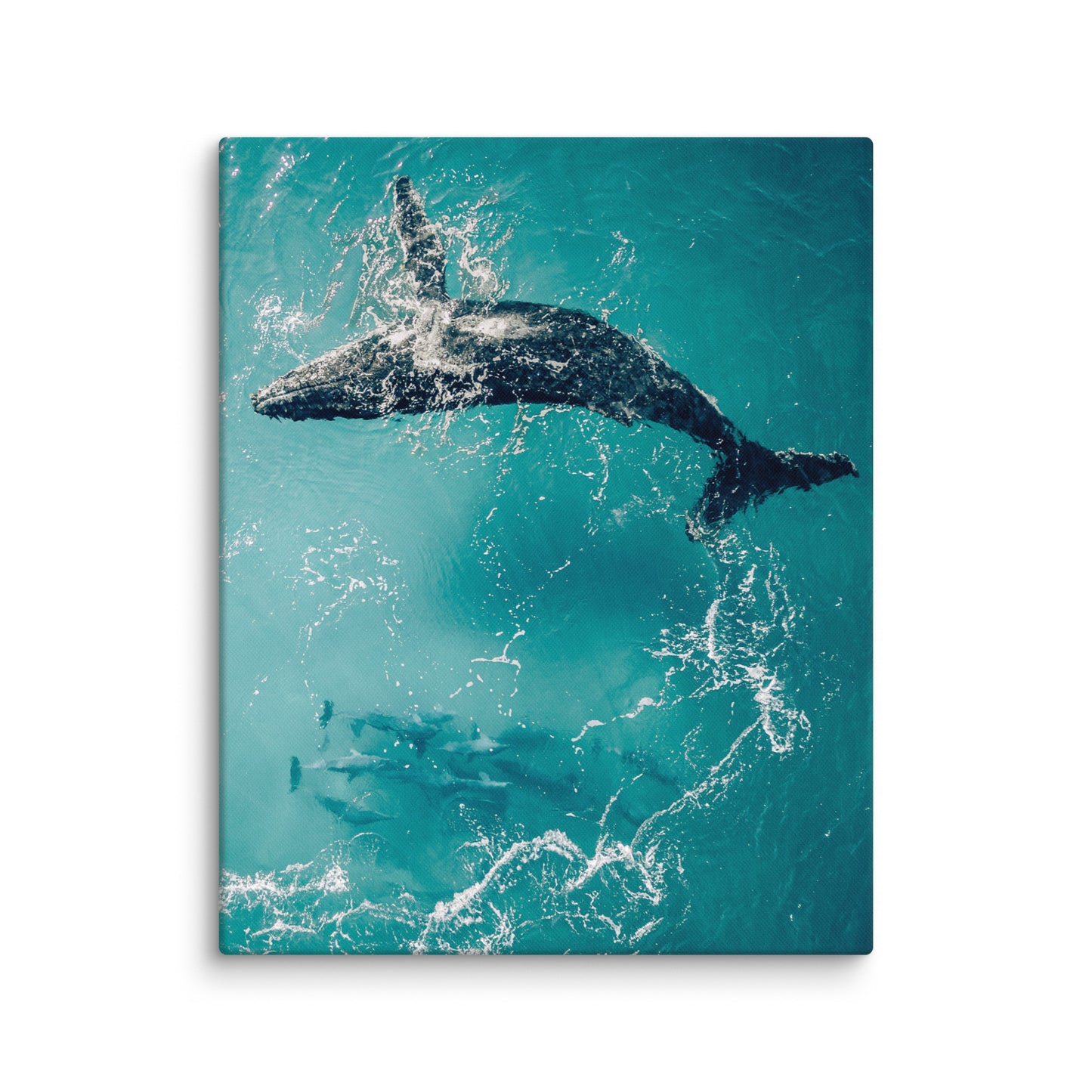 Whale & Dolphins - 1136