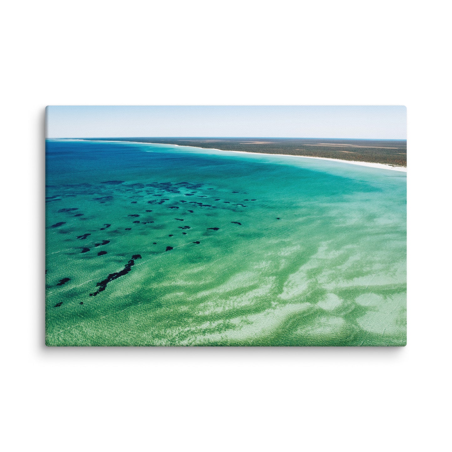 Shark Bay - 1166