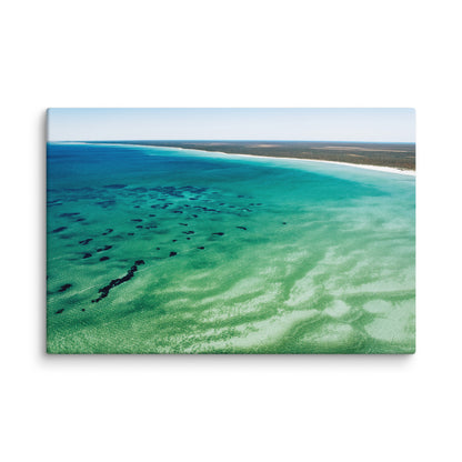 Shark Bay - 1166