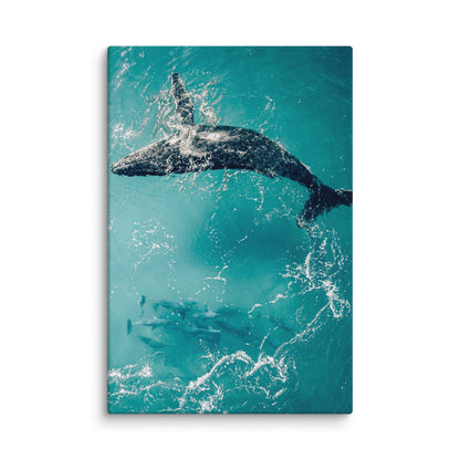 Whale & Dolphins - 1136