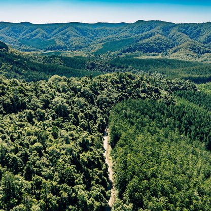 conondale-national-park-photograph