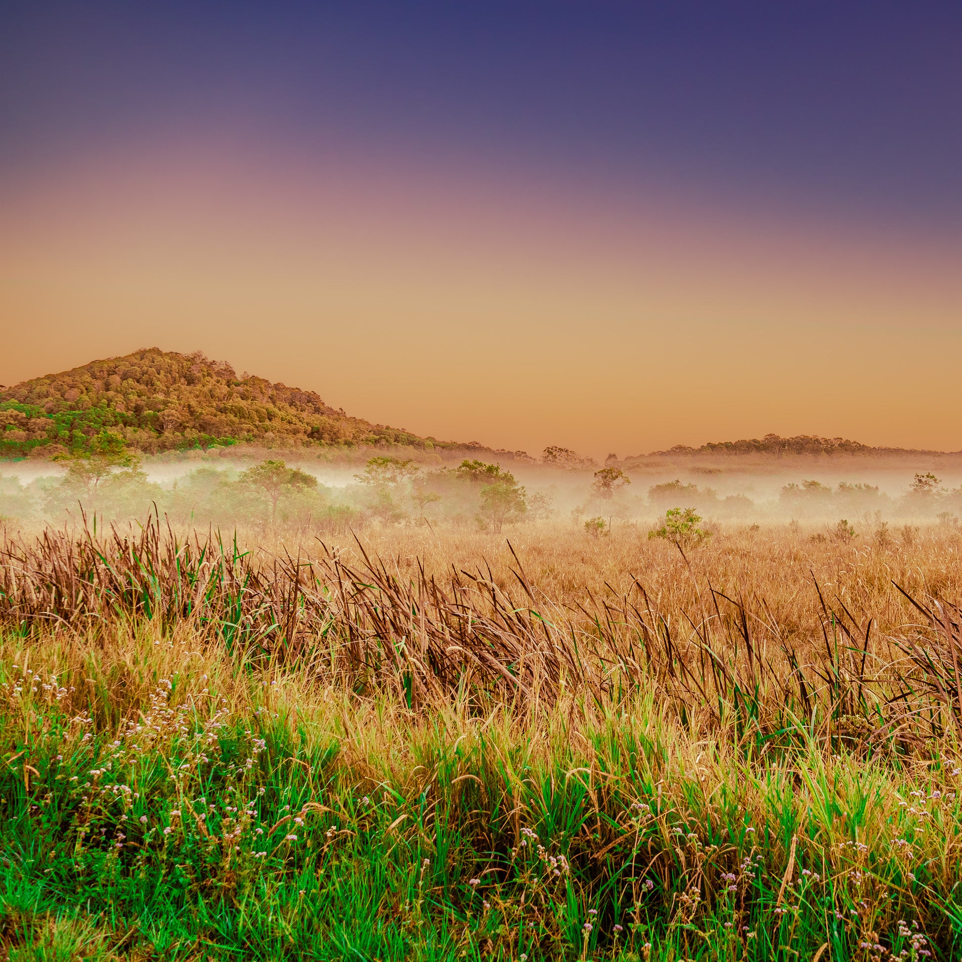 countryside photograph