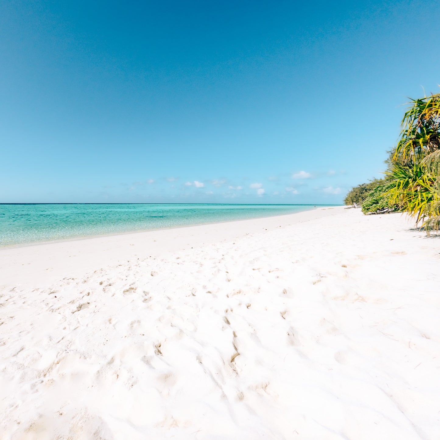 heron-island-beach-photograph