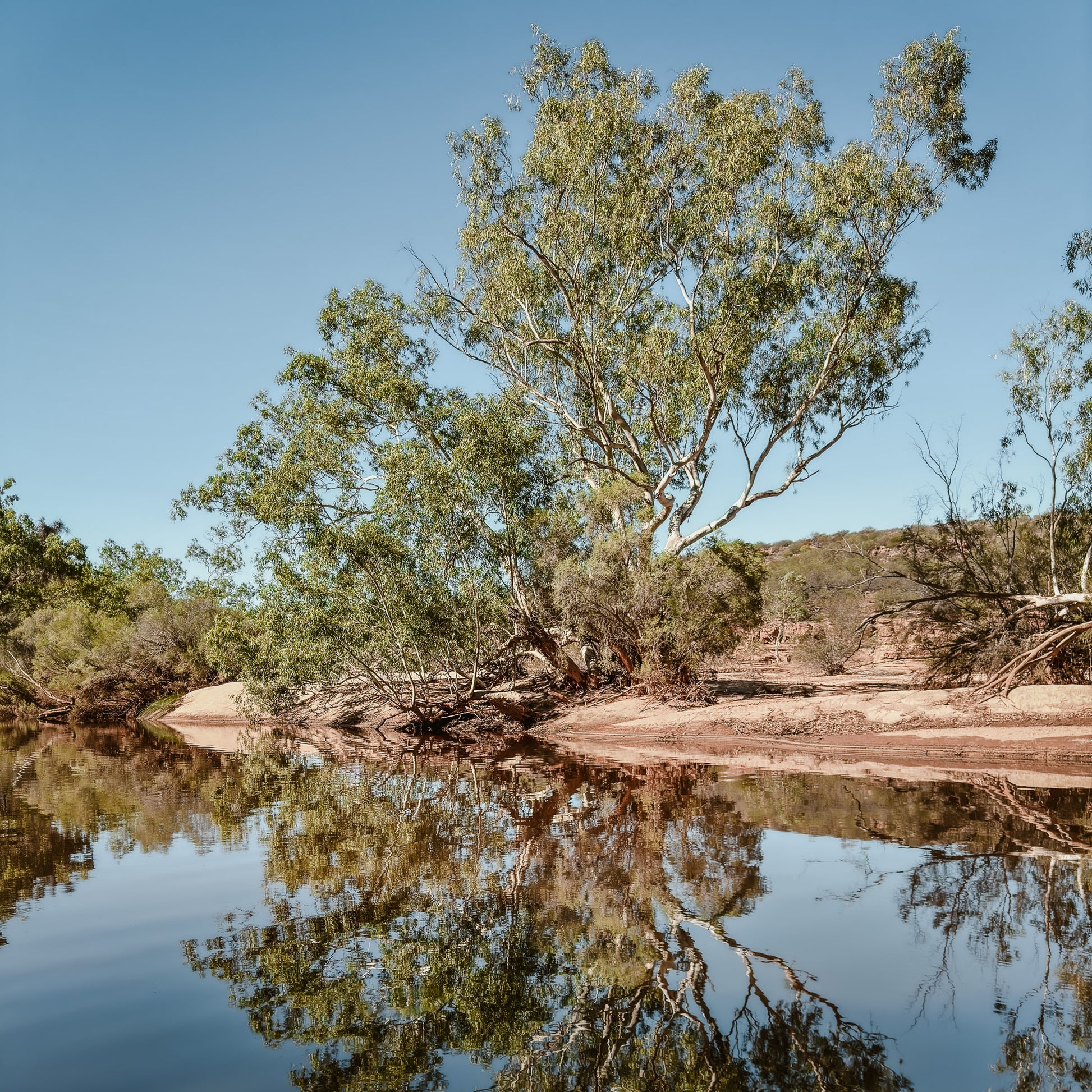 kalbarri-national-park-photograph