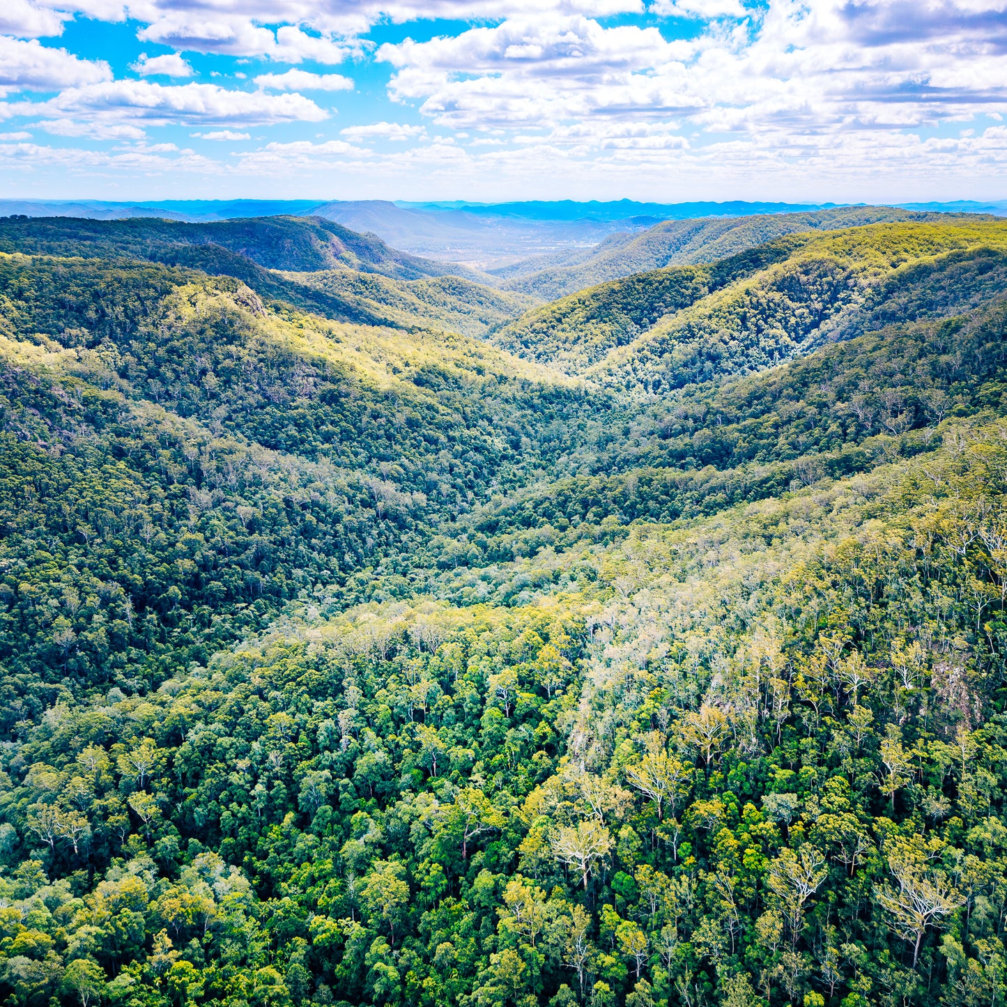 mapleton-national-park-photograph