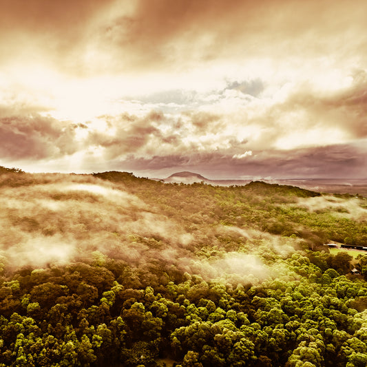 mount-coolum-photo