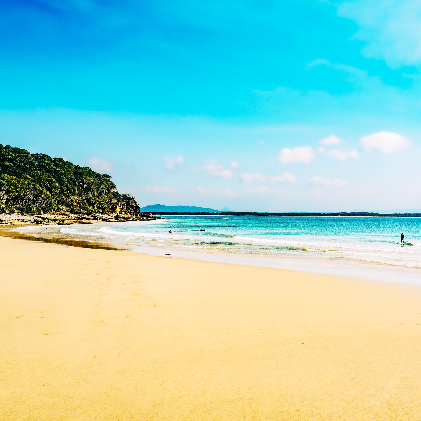 noosa national park photograph