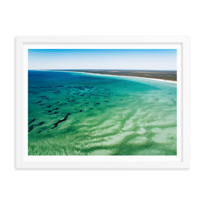 Shark Bay - 1166