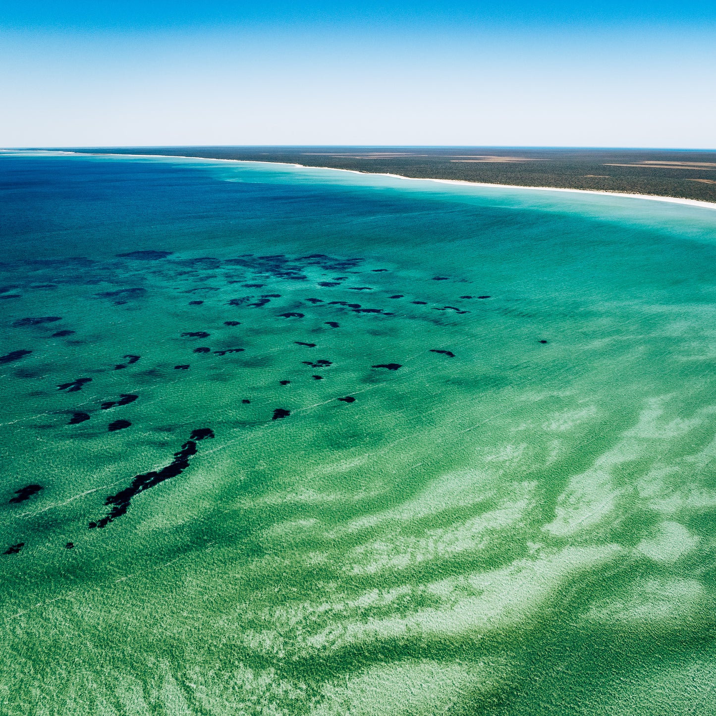 shark-bay-photograph