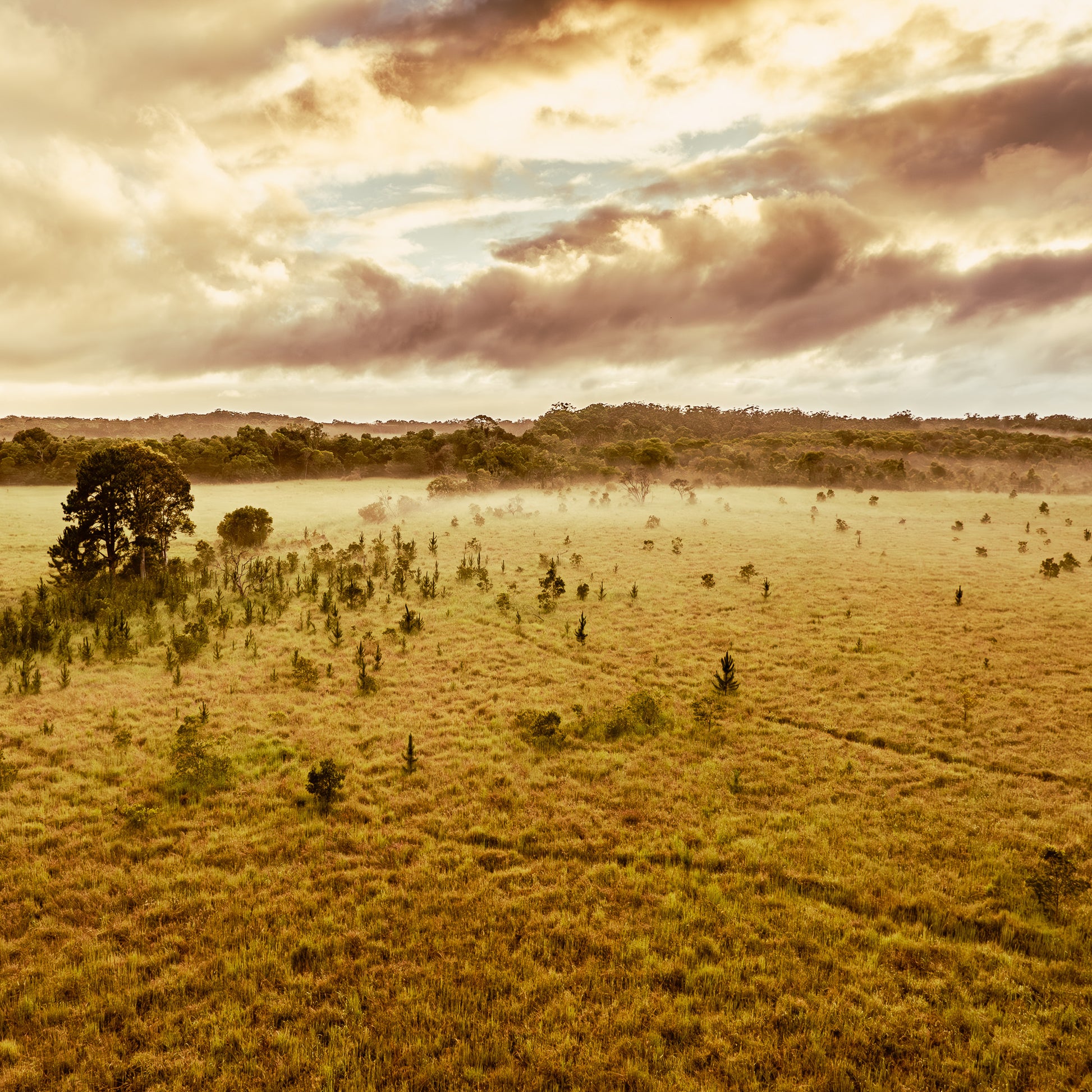 sunshinecoast-sunrise-photograph