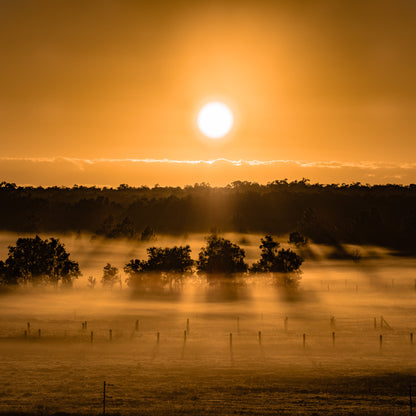 yandina-sunrise-photograph