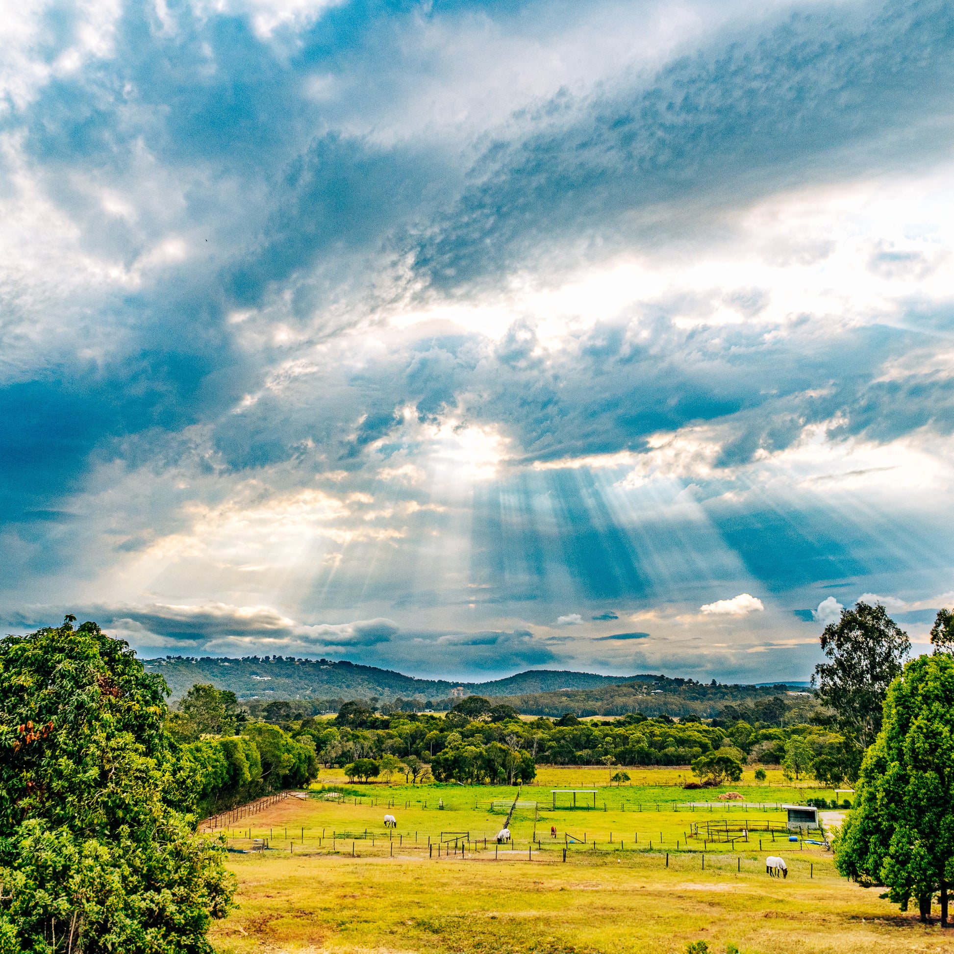 yandina-creek-photograph