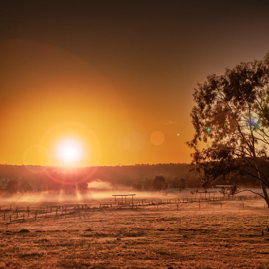 yandina-sunrise-photograph